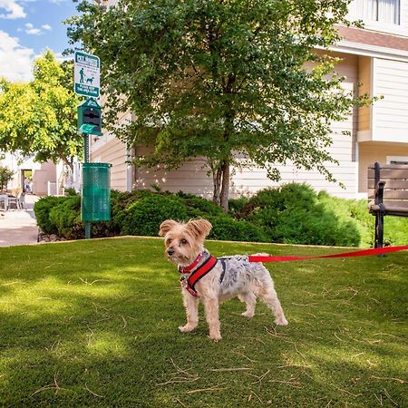 Residence Inn Denver Downtown Екстер'єр фото