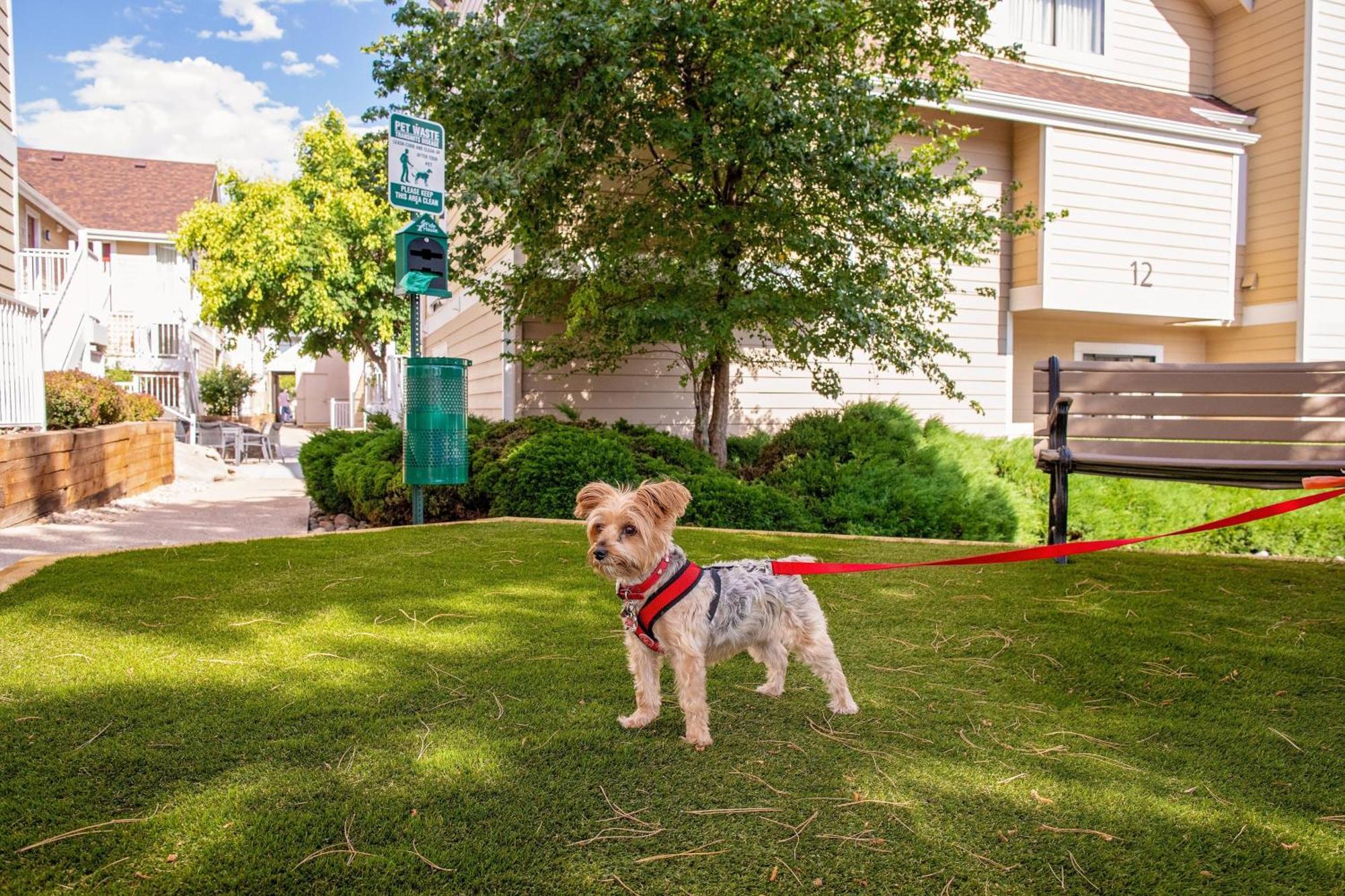 Residence Inn Denver Downtown Екстер'єр фото